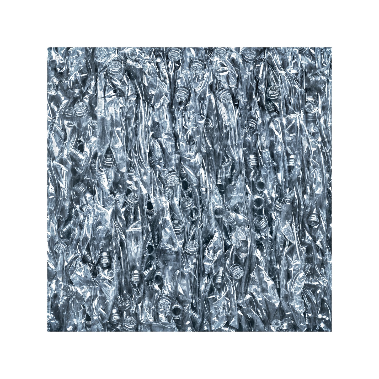 Plastic 31