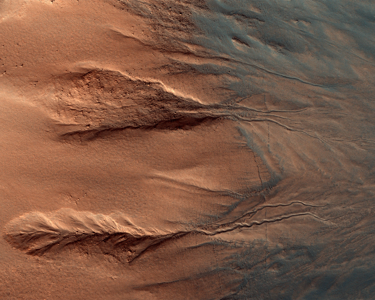 Contrasting Craters