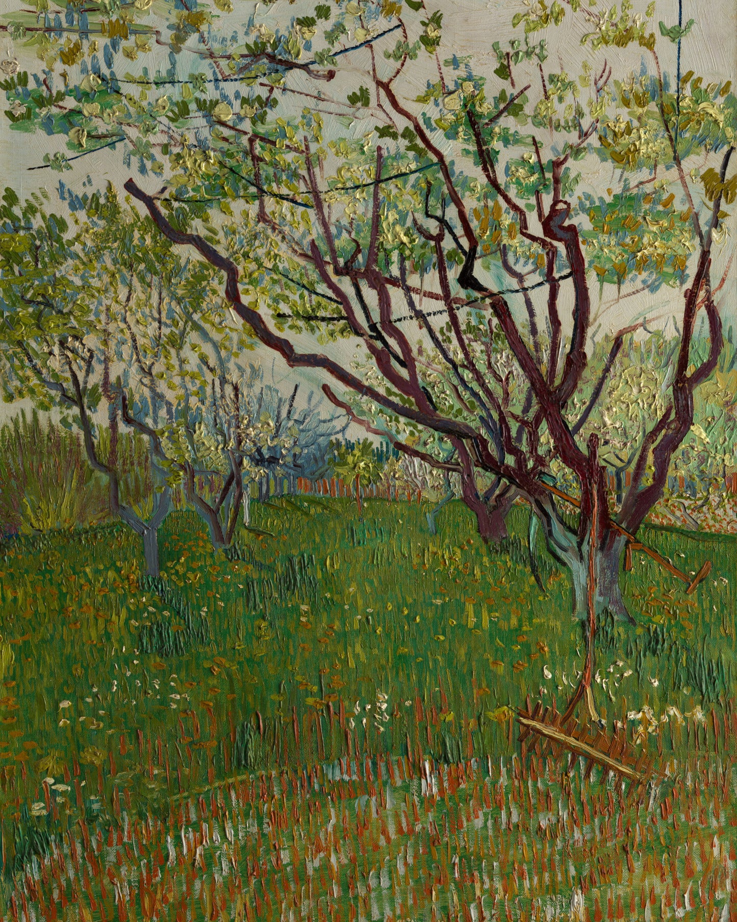 The Flowering Orchard