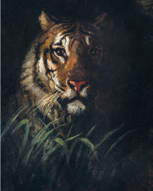 Tiger's Head