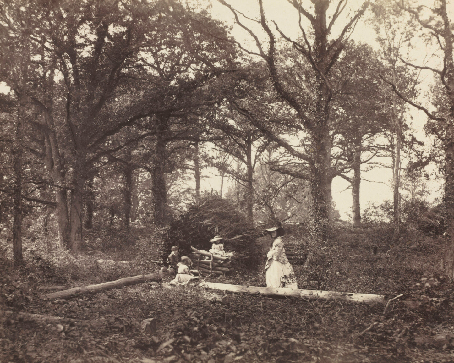 Forest