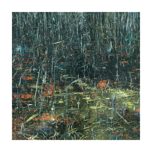 Scratched 1