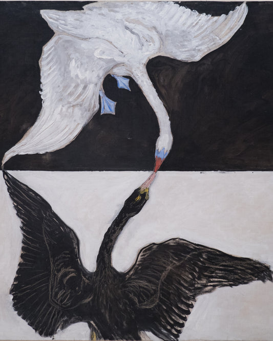 The Swan