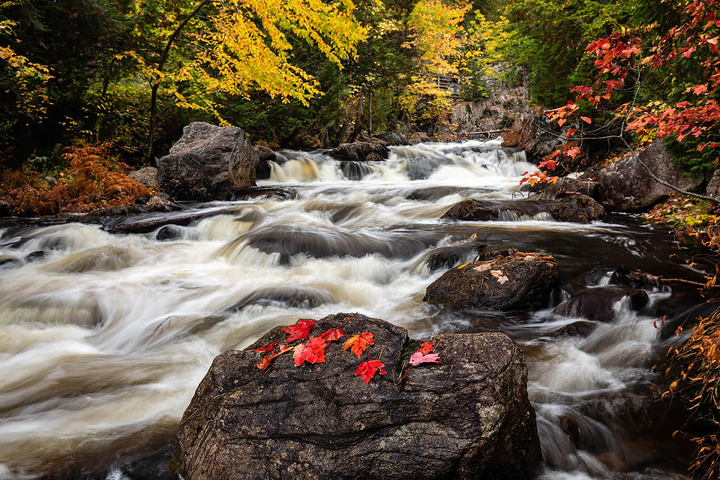 Crystal Creek