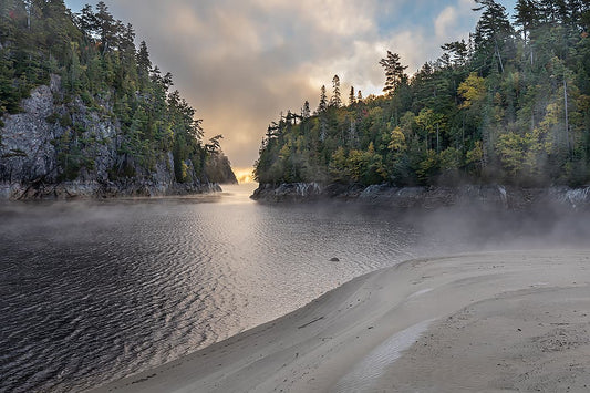 Misty Montreal River Sunrise
