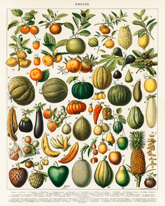 Fruits and Vegetables