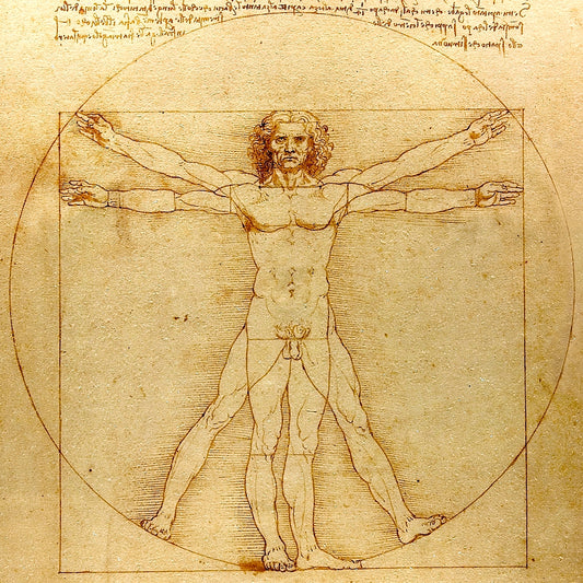 The Vitruvian Man