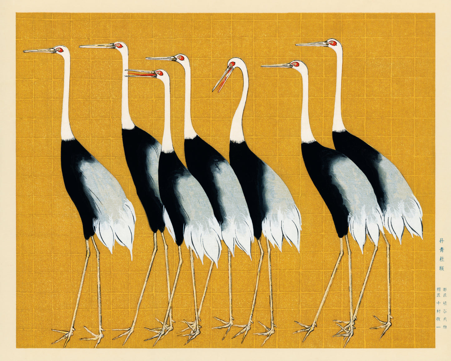 Japanese Red Crown Cranes
