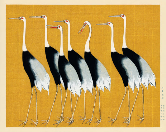 Japanese Red Crown Cranes