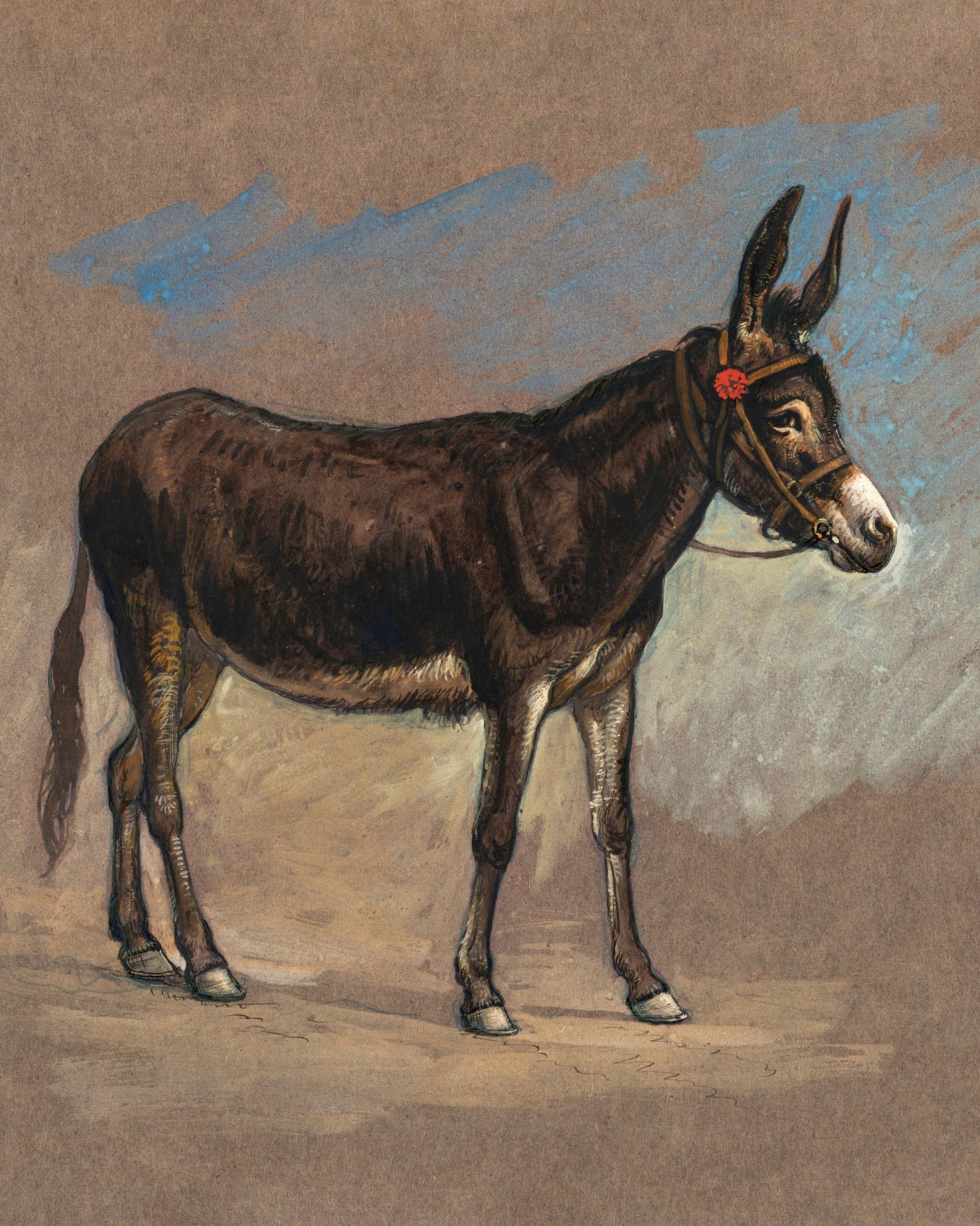 Study of a Mule