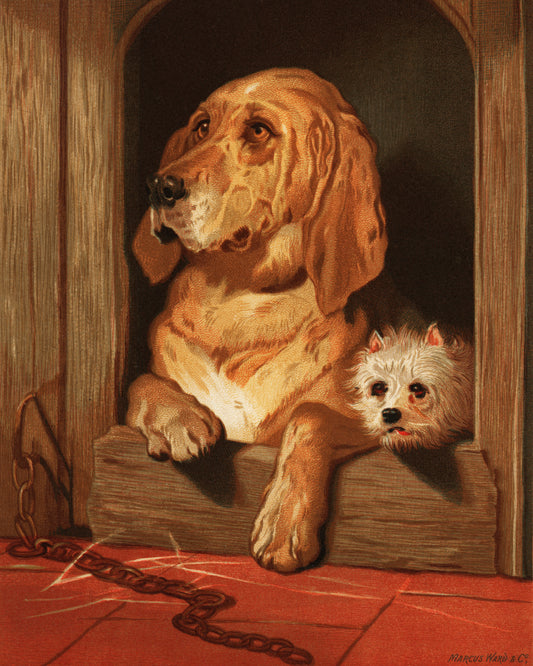 Dignity and Impudence