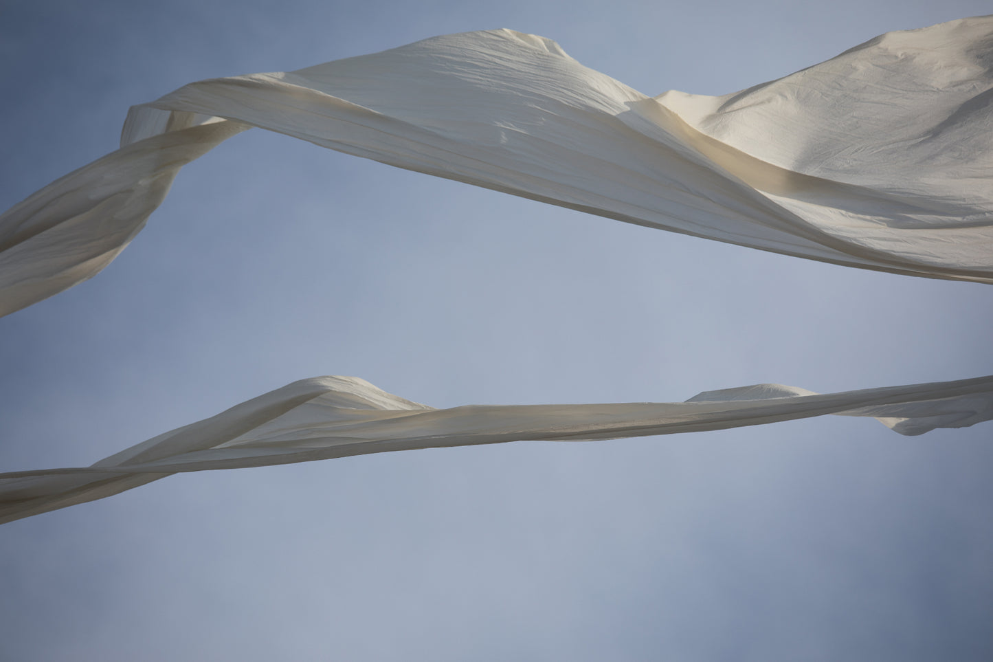 Angels Wings