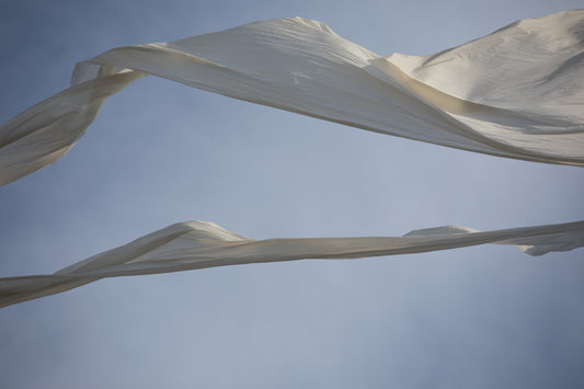 Angels Wings