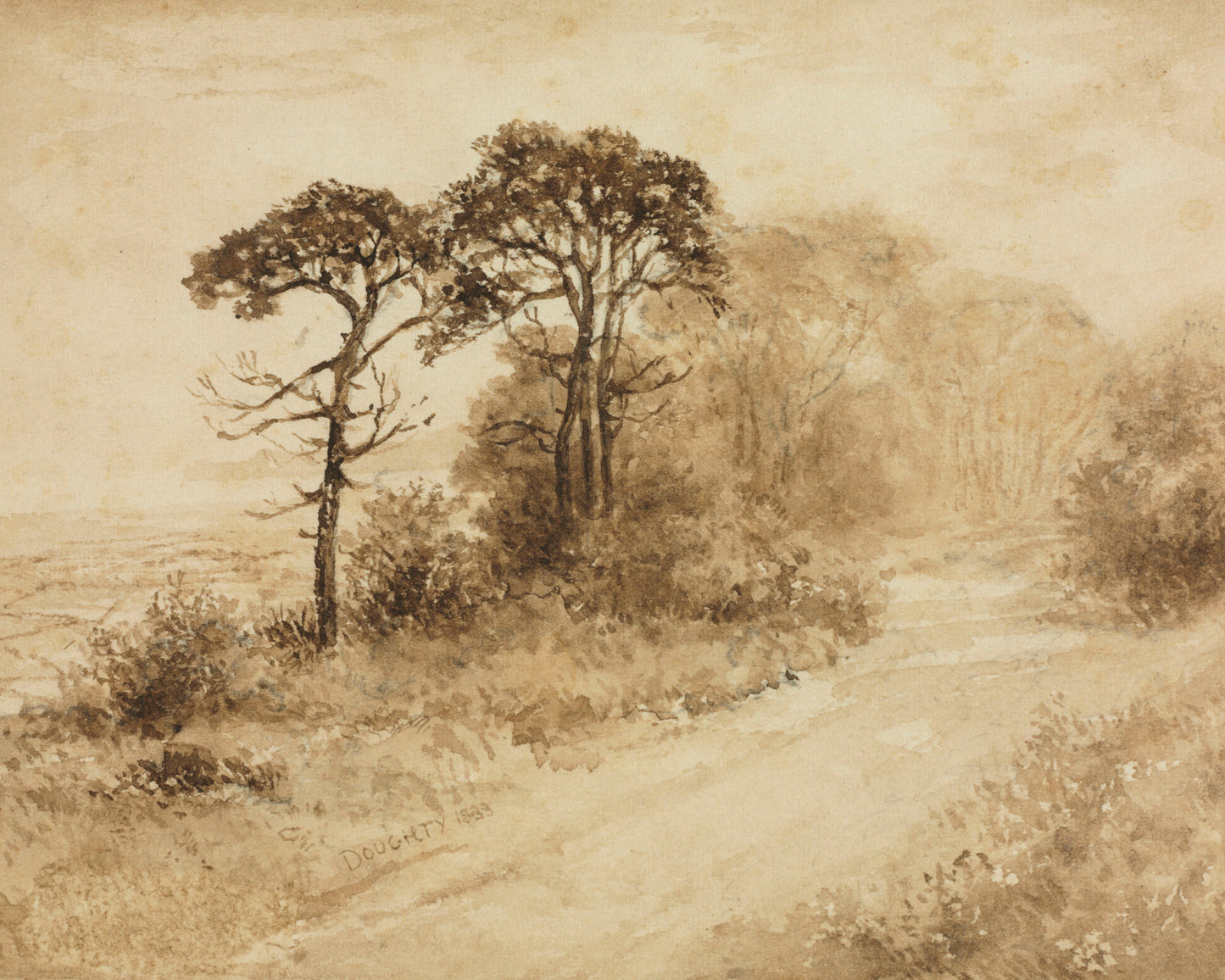 Landscape with Winding Road