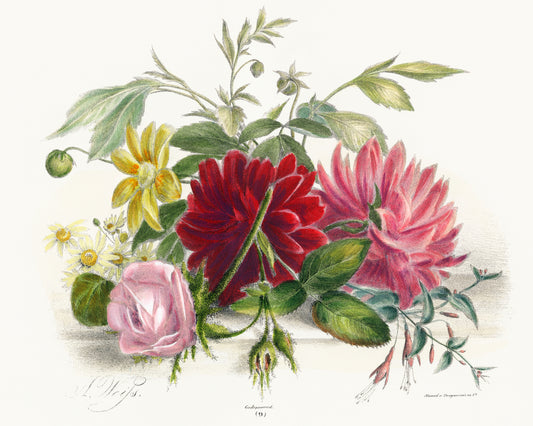 Botanical Arrangement