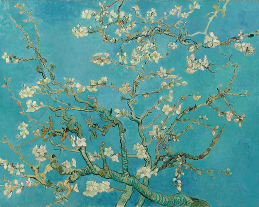 Almond Blossom