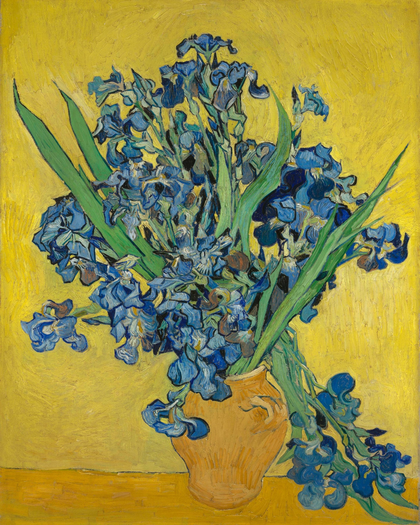 Irises