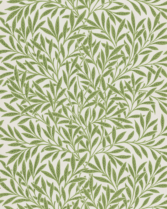 Light Willow