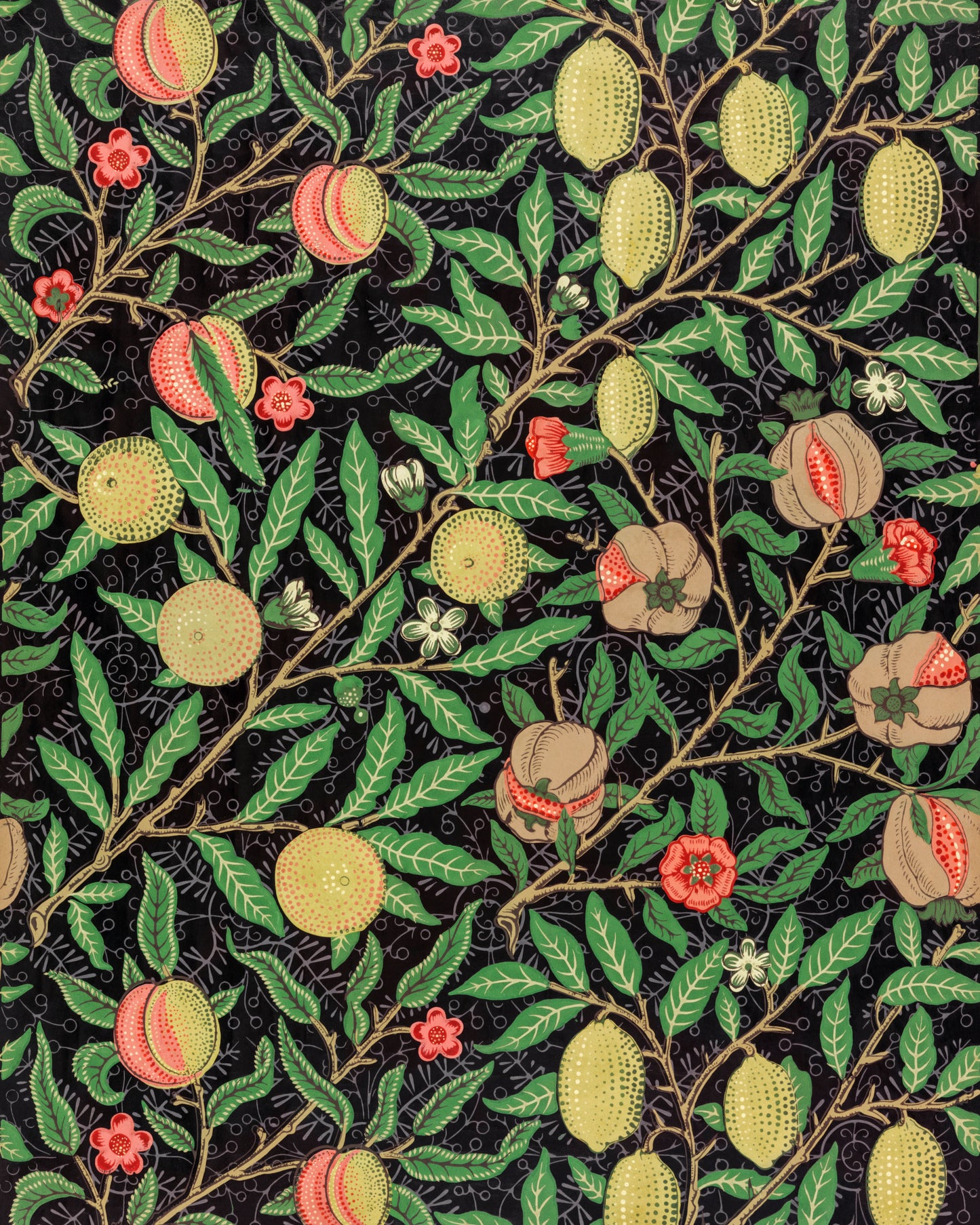 Fruit Pattern