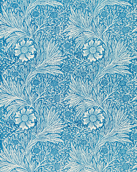 Blue Marigold