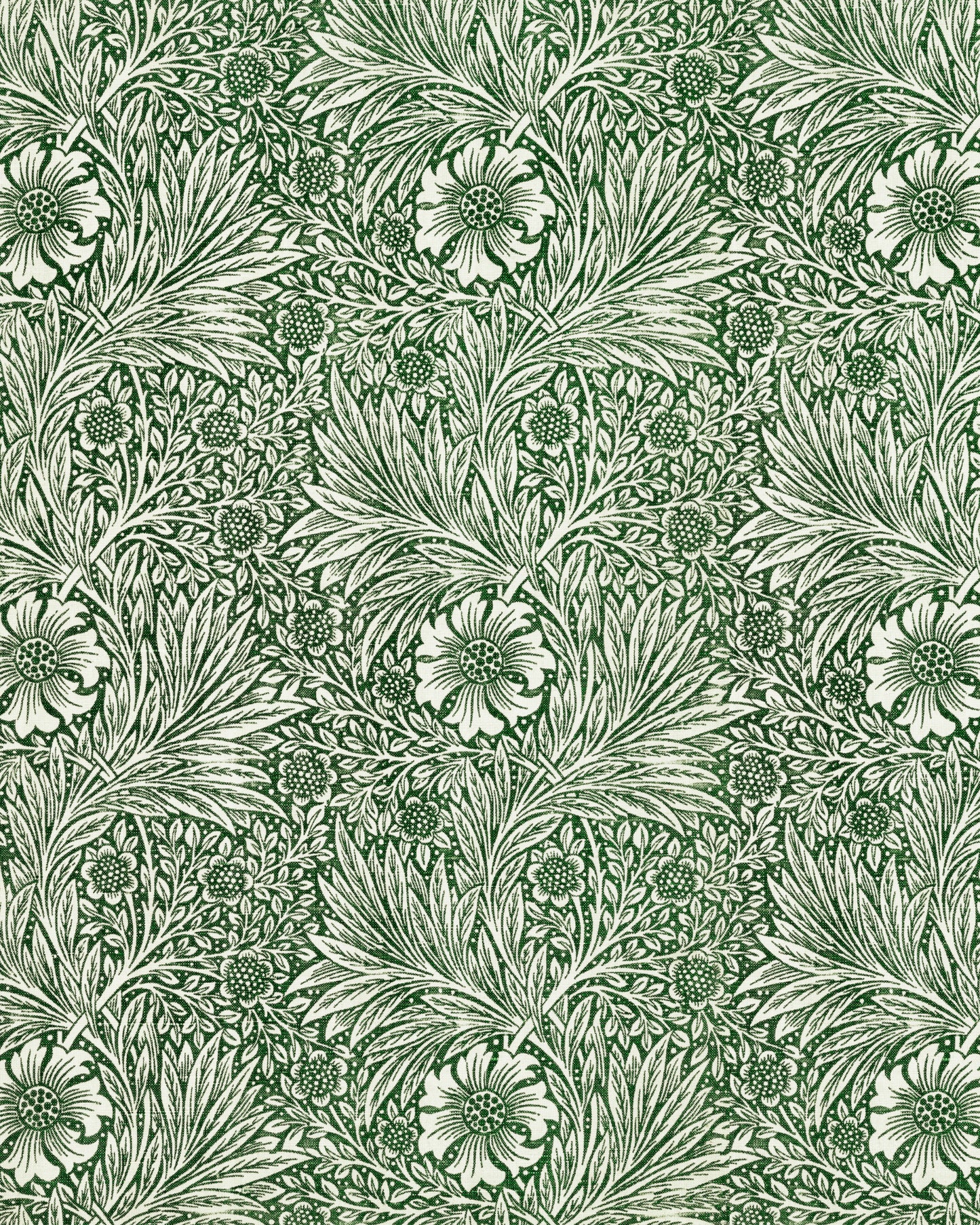 Green Marigold